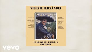 Vicente Fernández  Las Mañanitas Letra  Lyrics [upl. by Ilana]