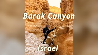 Barak Canyon Negev Desert [upl. by Jethro629]