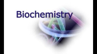 Biochemistry lecture 8 Nucleic Acids [upl. by Sasnett348]