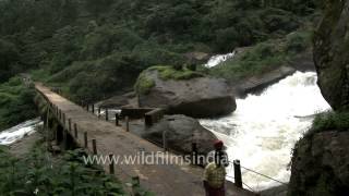 Attukal Waterfall Munnar [upl. by Hochman]