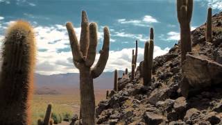 Tierra Atacama Hotel amp Spa [upl. by Lotty]