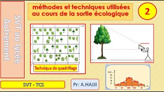 écologie Technique du quadrillage et aire minimale dinventaire  explication et exercices [upl. by Vassily]