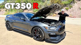 Ford Shelby GT350R Review BETTER Than A GT500 [upl. by Ahseym228]