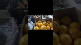 ACOMPAÑAME HACER MI DESPENSA 🍎🥝🍍🍅🫒despensa amadecasa vlogs mamádedos despensaquincenal [upl. by Marrilee]