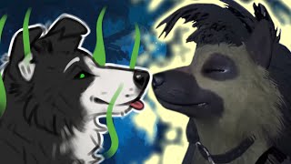 Furry Tiktoks thatll sniff respectfully [upl. by Nosille]