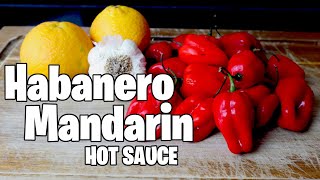 Habanero Mandarin Orange Hot Sauce Recipe [upl. by Haelahk]