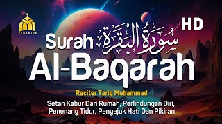 Surah Al Baqarah Full Dengan Suara Indah Membuat Hati Tenang  Tariq Muhammad [upl. by Linkoski601]