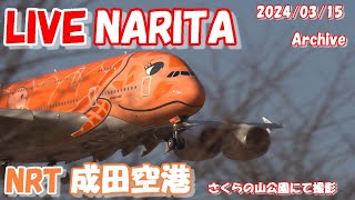 🔴LIVE at NARITA International Airport Plane Spotting 20240315 成田空港ライブカメラ 成田空港 NRTRJAA [upl. by Gnep]