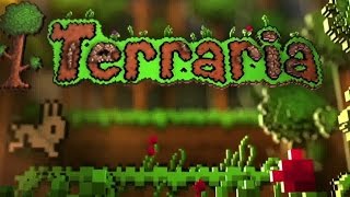 Terraria 1303 dragon staff bugglitch [upl. by Ael]