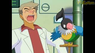 Chatot attacks Professor Oak  Professor Oak Funny Moments [upl. by Yevreh]