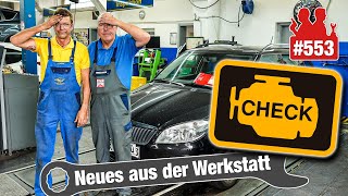 Insider zu BioDiesel SO verschmockt sind Filter an Zapfsäulen 😳 Skoda Fabia 2 Werkstätten ratlos [upl. by Allemap]