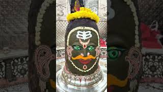 Ujjain Mahakal mahadev mahakal shivshankar shivbhakti shivbhajan bholenath ythsorts trending [upl. by Anehs]