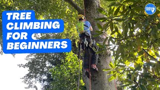 Basic climbing techniques Basic tree ascent [upl. by Meyer]