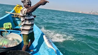 Catching Plenty of Trevally Fish in the Sea [upl. by Nala]