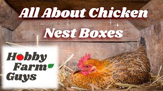 All About Chicken Nest Boxes  And How to Make Sure Your Hens Use Them [upl. by Ntisuj829]