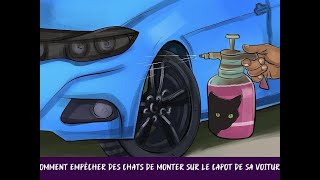 Comment empêcher des chats de monter sur le capot de sa voiture [upl. by Haberman177]