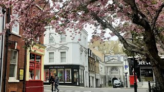 Hidden Mews Homes of Belgravia Cadogan Lane  London Architecture [upl. by Hsima790]