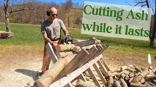 Processing Pollarded Firewood on a Sawbuck [upl. by Anayit]