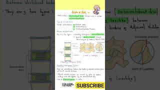 Joints of Neck anatomyphysiology anatomy neck humananatomy [upl. by Esertal]