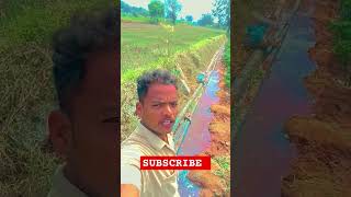 agriculture raithubidda farming farmer agriculturefarming AKRFARMS [upl. by Maxa661]