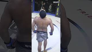 Best MMA celebrations🤸‍♂️Johnny Walker Erko Jun amp Oloan Silalahi🔥 bravecf bravetv shorts mma [upl. by Ynaitirb]