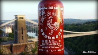 SRIRACHA HOT CHILI SAUCE by Huy Fong Foods Review [upl. by Dott]