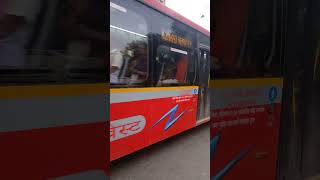 K9D Olectra Bus On A244 Borivali Station To Kandivali Station Via Charkop Village electricbus [upl. by Marjory]