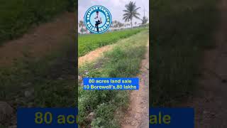 80 Acres land sale  Acre 80 lakhs  10 borewells available  Kohir Mandal [upl. by Barnet]