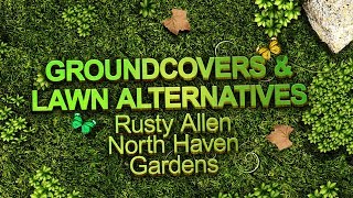 Groundcover and Lawn Alternatives  Sustainable Landscape Series [upl. by Schindler]