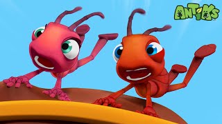 Spagetit  🐛 Antiks amp Insectibles 🐜  Funny Cartoons for Kids  Moonbug [upl. by Laforge]