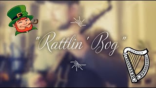 The Rattlin Bog  MandolinTenor BanjoIrish Bouzouki  Irish Traditional [upl. by Piderit]