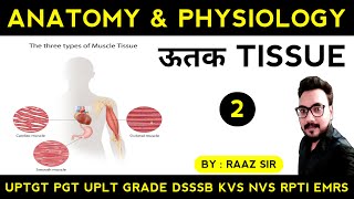 ऊतक Tissue  Anatomy amp Physiology Theory Class 2  Physical Education Online Class in Hindi [upl. by Asha972]