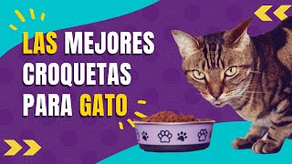 ¿ QUÉ INGREDIENTES DEBE TENER UN BUEN PIENSO CROQUETAS  PARA GATOS [upl. by Anayra]