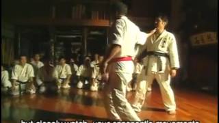 Tetsuhiro Hokama Karate History [upl. by Ulah459]