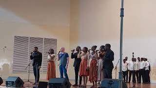 Tim Storms ft Zither Harmony  Amazing Grace [upl. by Gamaliel]