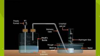 Laboratory Preparation Of Hydrogen [upl. by Dnaltiak]