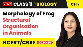 Morphology of Frog  Structural Organisation in Animals  Class 11 Biology Chapter 7  live [upl. by Kela]