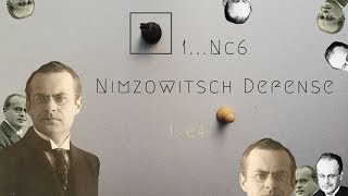 Nimzowitsch Defense Opening Theory [upl. by Yelha]