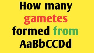 How many gametes formed from AaBbCCDd genotype [upl. by Aidile]