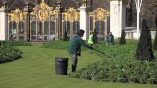 The Royal Wedding Preparations  Flower Beds The Royal Parks [upl. by Airlia]