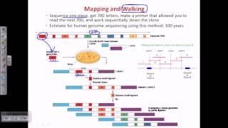 Genome sequencing [upl. by Aural]