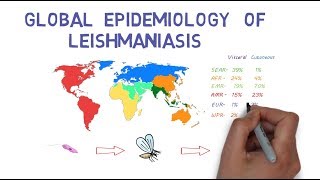 The Global Epidemiology of Leishmaniasis [upl. by Adhamh]