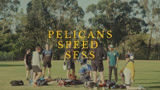 PeliCans Speed Sess [upl. by Gautier403]