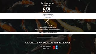 Bank Holiday Monday Koi Auction Special Event [upl. by Goeger830]