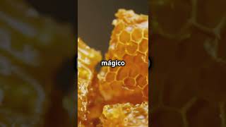 ¡Así hacen las abejas la miel 🐝🍯 cosasquenosabias viralshort viralvideo [upl. by Yonina]