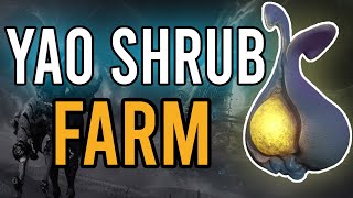 How To Farm YAO SHRUB in Duviri Paradox  Warframe [upl. by Tally673]