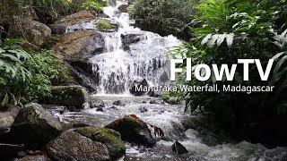 1 Hour White Noise Water Sound for Baby Sleep  Waterfall Madagascar Sounds [upl. by Ayik31]