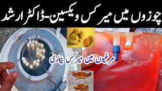 Mareks Disease in Poultry  Mareks Vaccine in Chickens by Dr Arshad [upl. by Livi]