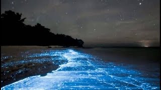 Maldives Beach Looks Like Starry Night Sky HD 2024 HD [upl. by Enyahs850]