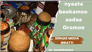 Nyaata Aadaa Oromoo  Oromo Cultural Foods [upl. by Thevenot]